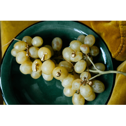 Laurène Vernet - Boucles d'oreille Pomme