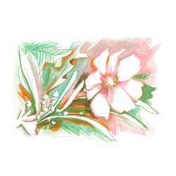 Julia Riffiod - Fleur pastel