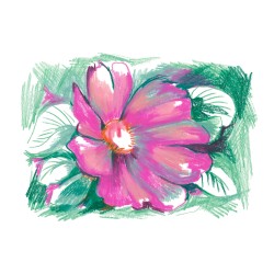 Julia Riffiod - Fleur rose Fuchsia