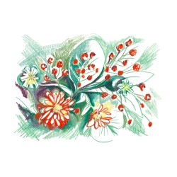 Julia Riffiod - Fleurs d'Hiver