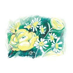 Julia Riffiod - Fleurs Jaunes