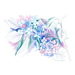 Julia Riffiod - Les Hortensias