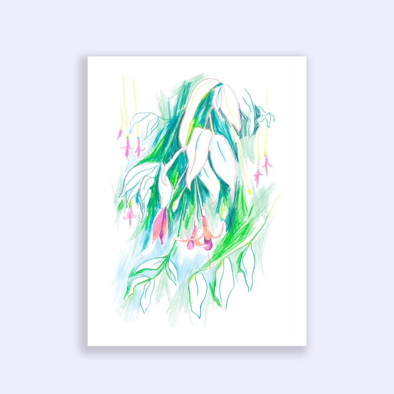 Julia Riffiod - Les Fuchsia